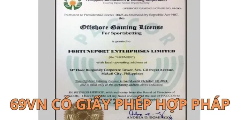 Giấy phép 69VN