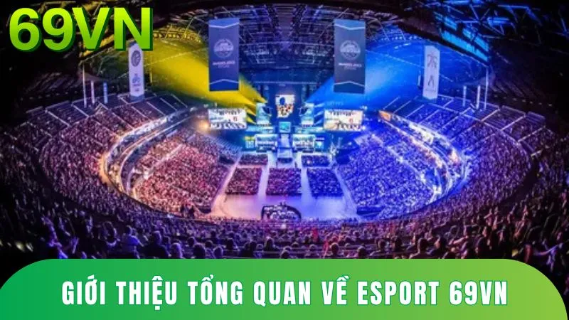 gioi-thieu-esport-69vn-callen